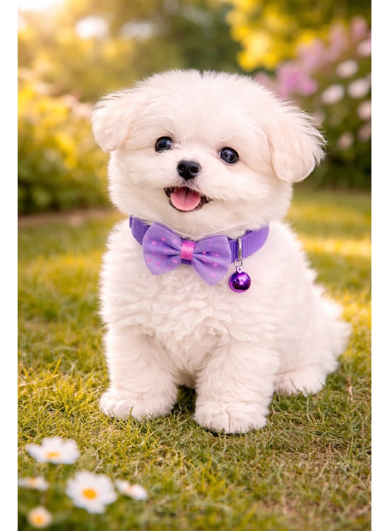 Petto AdjustableBowknot Pet Collar with Bell – Soft, Stylish & Comfortable - Image 2